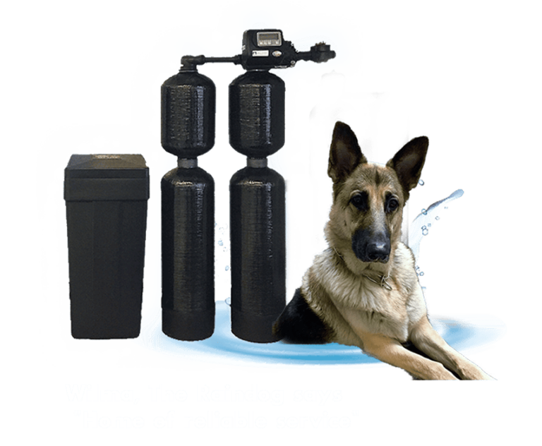 Rain Water Las Vegas system and dog