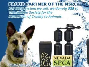 A graphic with Danni the Rain Dog saying Rain Water is a proud partner of the NSPCA