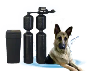 A Water Softening System With Danni The Rain Dog Posing Next To It